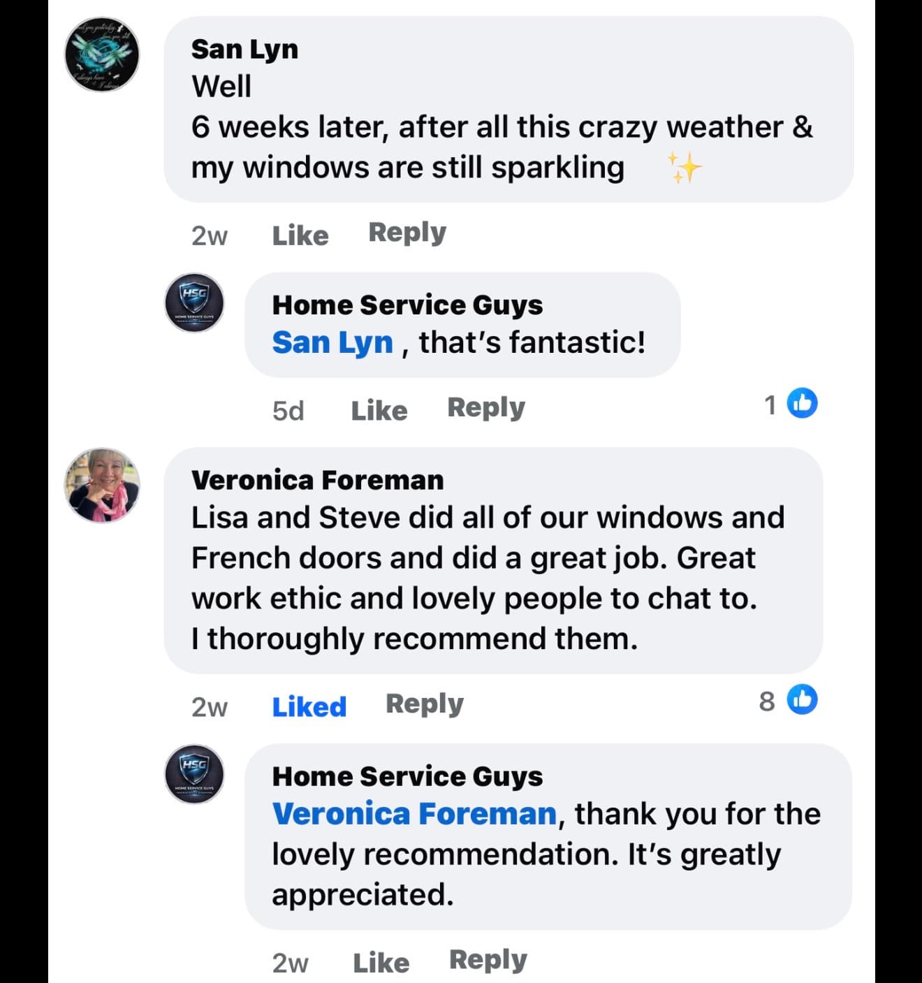 Facebook comment thread showing positive customer reviews for Home Service Guys window cleaning services.